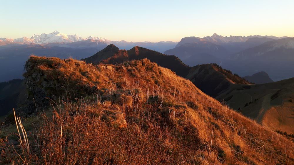 Paysages - Praz de Lys Sommand